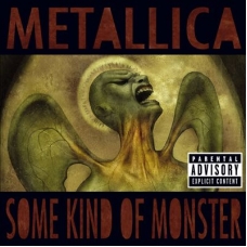 METALLICA:SOME KIND OF MONSTER                              