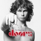 DOORS, THE:THE VERY BEST OF (EDIC.STANDARD) -IMPORTACION-   