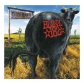 BLINK 182:DUDDE RANCH                                       