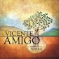 VICENTE AMIGO:TIERRA (JEWEL)                                