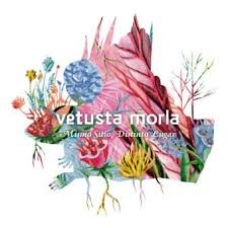 VETUSTA MORLA:MISMO SITIO, DISTINTO LUGAR (LP)              