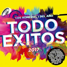 VARIOS - TODO EXITOS 2017 (2CD)                             