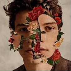 SHAWN MENDES:SHAWN MENDES (EDIC.STANDARD)                   