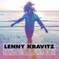 LENNY KRAVITZ:RAISE VIBRATION (DIGIPACK)                    