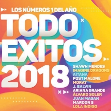 VARIOS - TODO EXITOS 2018 -2CD-                             