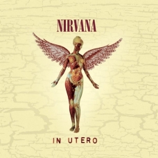 NIRVANA:IN UTERO (20 TH ANNIVERSARY EDITION)                