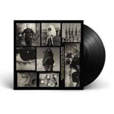 FOO FIGTHERS:MAKING A FIRE / CHASING BIRDS (SINGLE)-RSD 2022