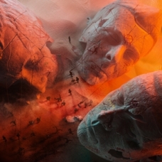 MUSE:WILL OF THE PEOPLE (SOFTPACK) MUSE:WILL OF THE PEOPLE (SOFTPACK)