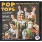 POP TOPS:TODAS SUS GRAVACIONES (1968-1974) -2CD-            