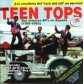 TEEN TOPS, LOS:SUS MEJORES EP´S  EN ESPAÑA (1960-1963) -2CD-