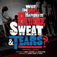 BLOOD, SWEAT, AND TEARS:WHAT THE HELL HAPPENED-2LP 12INCH-  