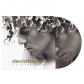 DAVID BISBAL:SIN MIRAR ATRAS (EDIC.15? ANIVERSARIO )-PICTURE DAVID BISBAL:SIN MIRAR ATRAS (EDIC.15? ANIVERSARIO )-PICTURE