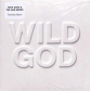 NICK CAVE:WILD GOD (LP)                                     